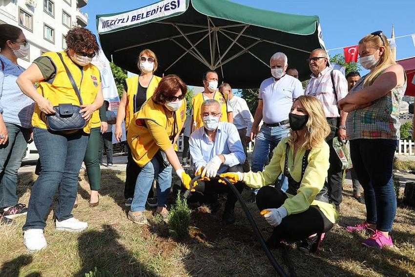 ‘Başkan Tarhan Elleriyle Fidan Dikti’