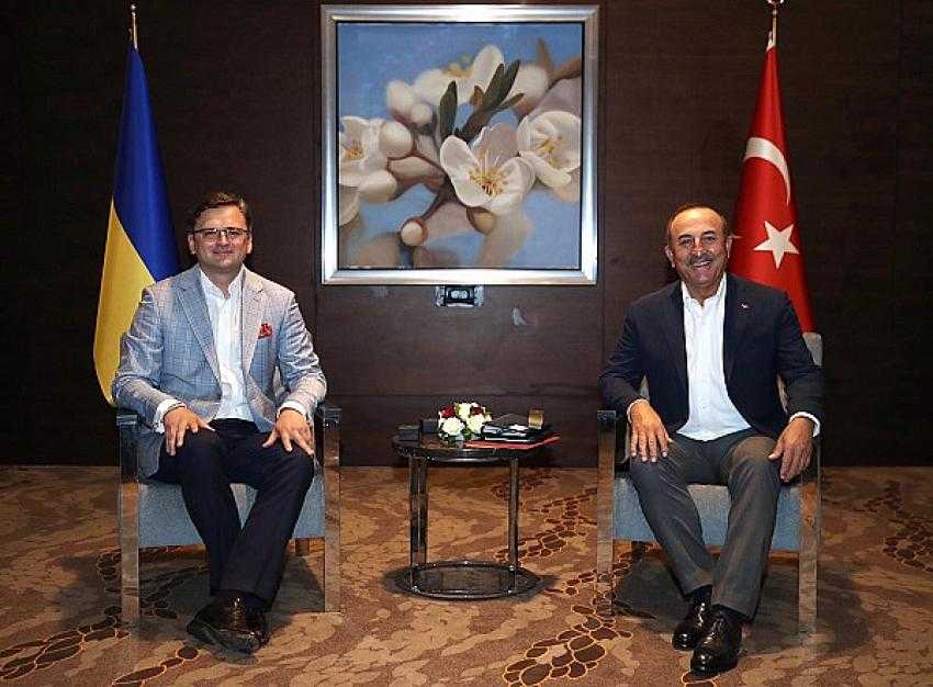 Ukrayna-Türkiye Ortak Stratejik Planlama