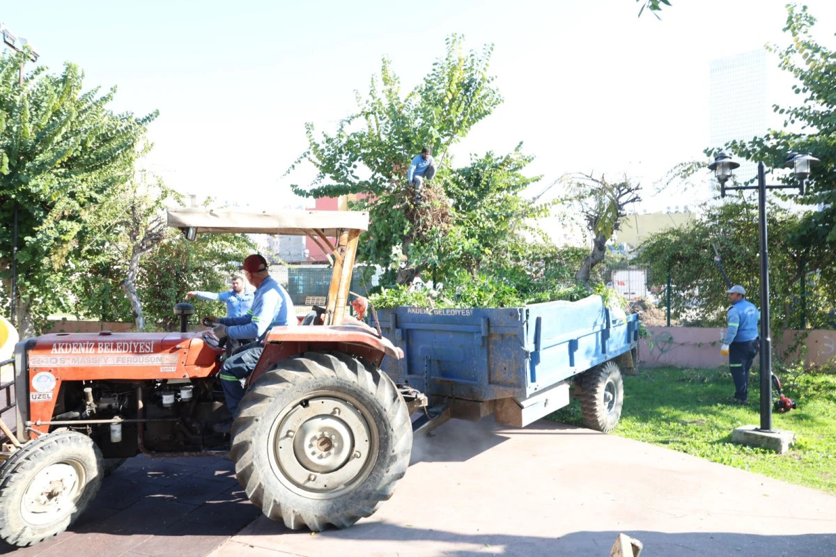 Akdeniz Belediyesi Parklarda Bakım ve Yenileme &Ccedil;alışmalarını S&uuml;rd&uuml;r&uuml;yor