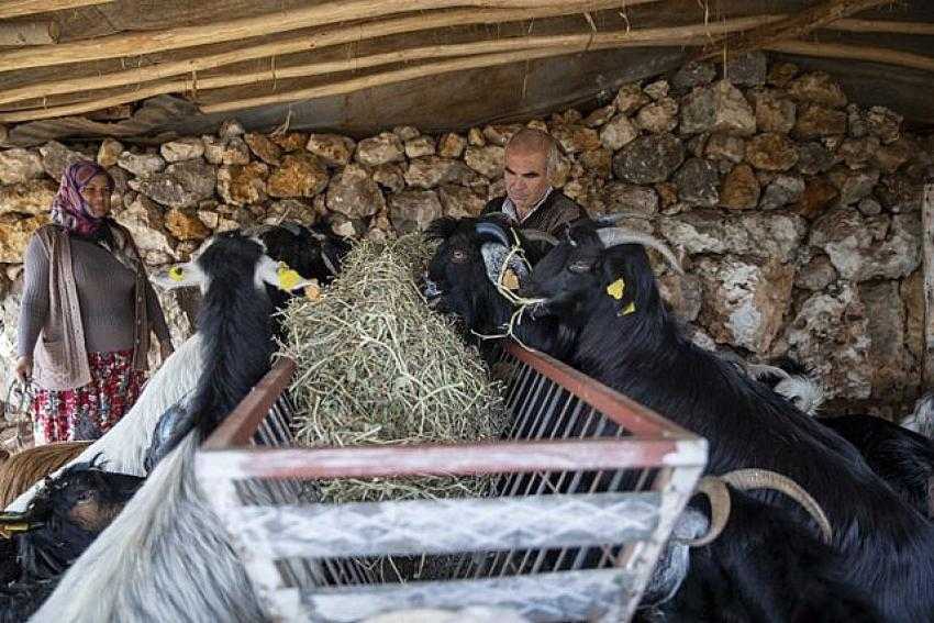 B&uuml;y&uuml;kşehir&rsquo;in Projesiyle &Uuml;retici Kazanıyor