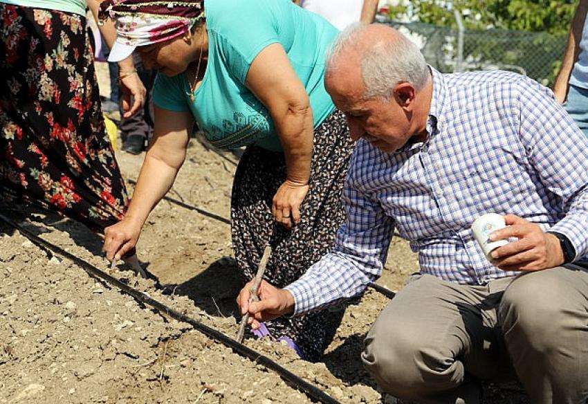 Şevketi Bostan Tohumları Toprakla Buluşturuldu