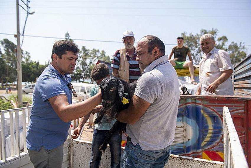 Mersin B&uuml;y&uuml;kşehir&rsquo;in &ldquo;Hadi Gel K&ouml;y&uuml;m&uuml;ze Destek Verelim&rdquo; Projesi B&uuml;y&uuml;yor