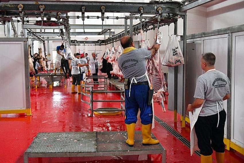 Vatandaşlar Bu Bayramda Da Kurbanlıklarını Mersin Büyükşehir’e Emanet Etti